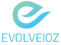 Sri Lanka's best WebSite Design Company - Evolveioz